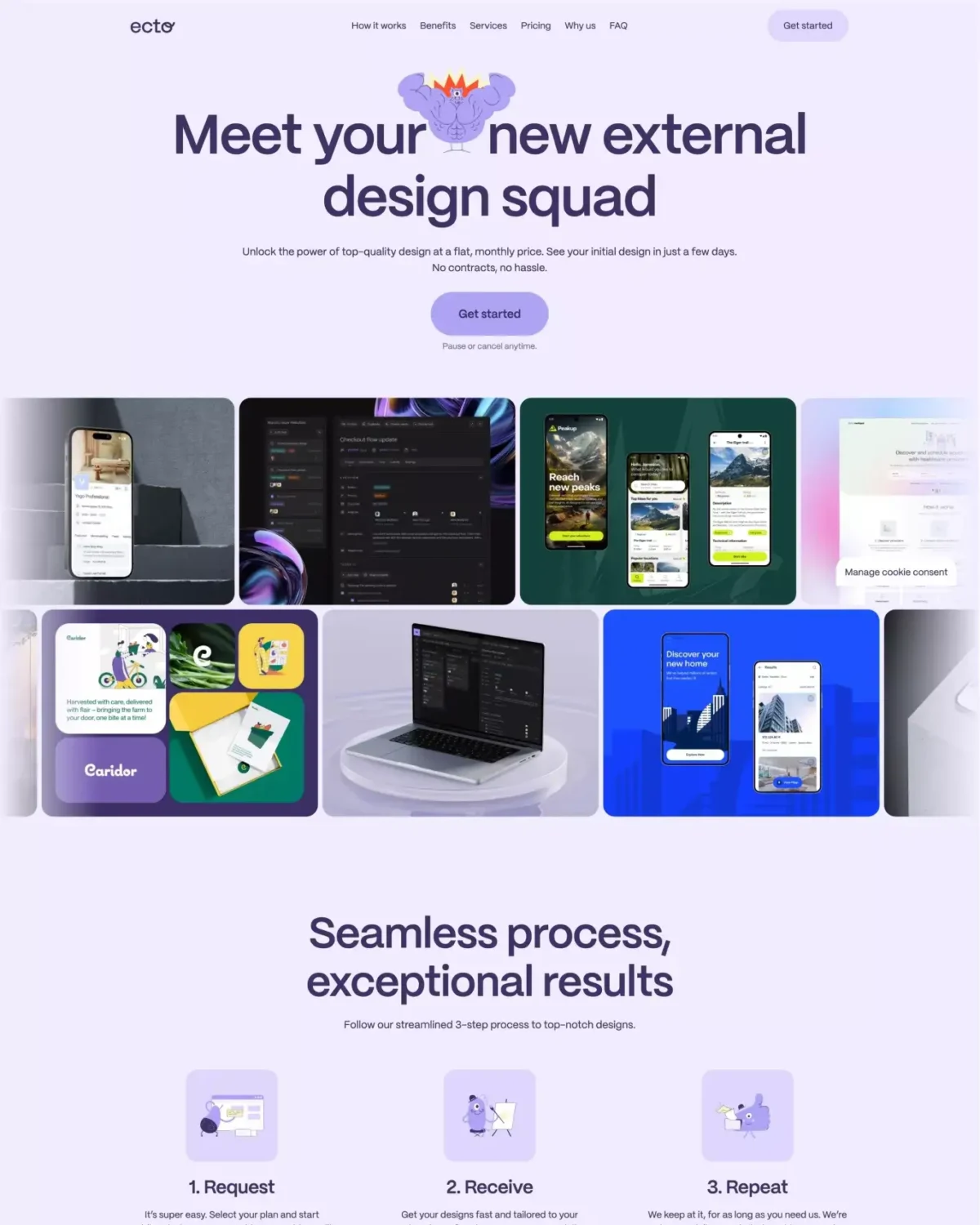 featured crop ecto design – efficient subscription based design service